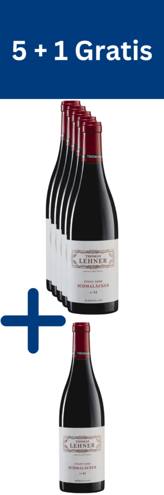 Pinot Noir 'Schmaläcker' No 41 Weingut Thomas Lehner® 2017 Liter