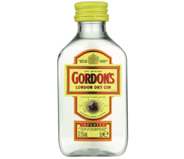 Gordons London Dry Gin PET