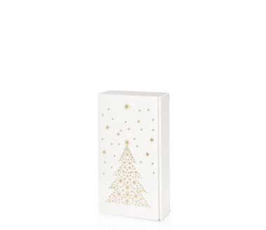 Weihnachtsverpackung 2er Präsentkarton weiß/gold Sternenbaum