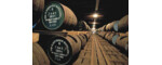 Glenfiddich 12 Years Single Malt Scotch Whisky grüner GP