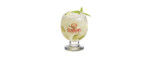 Gordons London Dry Gin