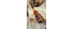 GlenDronach 12 Years Origin Single Malt Scotch Whisky