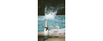 Moet Chandon Ice Imperial