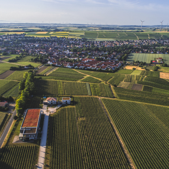 Weingut Thörle